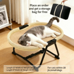 猫1